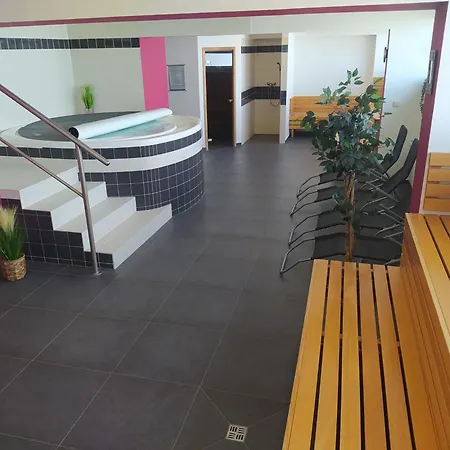 S-centrum بينيسوف