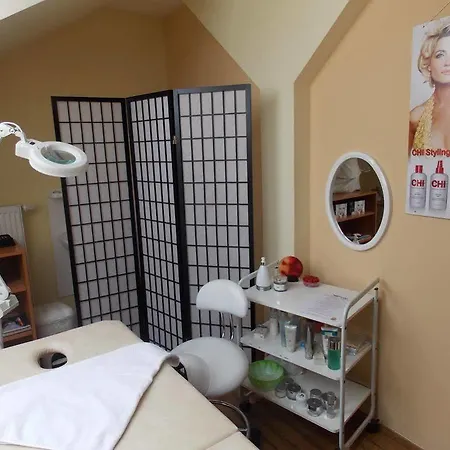 S-centrum بينيسوف